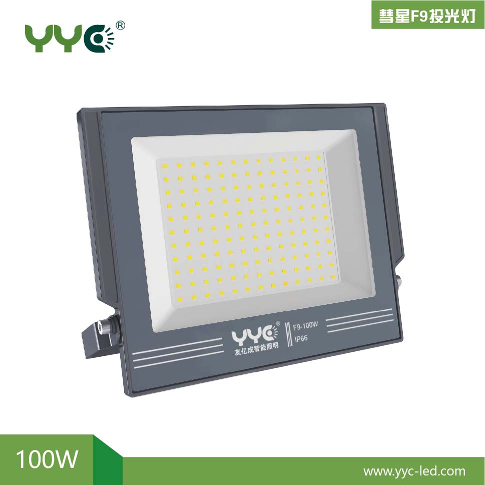 FE103-100W